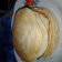 Cooksnap dari Heni Yuli Astuti untuk resep FLUFFY PANCAKE, Empuk & Bersarang