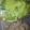 El cooksnap de Cinahy cuando hizo Tortitas de ejote.