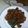 Cooksnap dari aisyah untuk resep Orek tempe cabe ijo