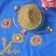 Sneha Patel's cooksnap of when they made વરીયાળી શરબત પાઉડર પ્રીમિક્સ (Variyali Sharbat Powder Premix Recipe In Gujarati).