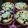 Cooksnap dari Rika Erviana untuk resep Puding Roti Tawar Tabur Kismis Dan Almond