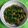 Sunita Bhargava का कुकस्नैप जब उन्होंने तुरई और मूंग दाल की सब्जी (turai aur moong dal ki sabzi recipe in Hindi) बनाया था।