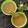 Jo Lly's cooksnap of when they made સરગવા વાલી તુવેર ની દાળ (Saragava Vali Tuver Dal Recipe In Gujarati).