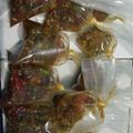 Cooksnap dari VALEN PANDU untuk resep Sambal goreng terasi