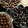 صورة من سوزان شوقي 💖💟، شاركها بعد تجربة وصفة دونات هشة وخفيفة ورررروعة👌😍🍩