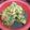 Man o Salwa By Neelam Saleem's cooksnap of when they made Dahi wala chicken.