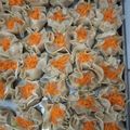 Cooksnap dari firdaus wiralestari untuk resep Siomay Ayam Udang (#pr_dibumbukacangin)