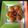 Anita Desai's cooksnap of when they made रवा  मेदू वडा (medu vada recipe in marathi).