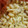 Naheed Baig's cooksnap of when they made Italian white sauce pasta.