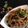 Areeba Muhammed's cooksnap of when they made Fresh Salad.