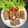 Cooksnap dari Clarissa's Kitchen untuk resep Nugget Jamur gluten free