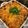 Hsieh Apple 的 培根洋蔥焗烤馬鈴薯 cooksnap