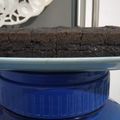 Cooksnap dari Salmaa untuk resep Brownies Kukus Ny. Liem