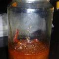 Cooksnap dari dwitakrisna untuk resep Sambal Balado Merah 