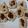 El cooksnap de Alexia Pinolli cuando hizo Galletitas de banana, coco y avena saludables apta diabéticos.