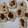 El cooksnap de Alexia Pinolli cuando hizo Galletitas de banana, coco y avena saludables apta diabéticos.