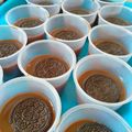 Cooksnap dari Bee Wulantsarii untuk resep Chocolate Silky Pudding