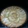 El cooksnap de liliput cuando hizo Tarta de Manzana de la Abuela.
