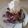 Cher's cooksnap of when they made Blueberry Bread Pudding.
