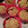 El cooksnap de Jenifer Stic Quinteros cuando hizo Muffins de coco, avena y dulce de leche.