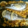 El cooksnap de Dora Escribano Vera cuando hizo Chicharro al horno, con cazuela de verduras y olivas.