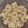 Cooksnap dari Dapurrandom untuk resep Kue semprit 3 bahan aduk2 aja