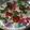 Jyoti Bansal's cooksnap of when they made Dahi bada.
