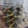Cooksnap dari umi fat untuk resep Donut Cookies