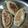 El cooksnap de Ellie cuando hizo Empanadas vegetarianas caseras de soja.