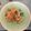 kauaiman's cooksnap of when they made Tuna & Cabbage Spaghetti Pasta.