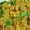Varsha Monani's cooksnap of when they made વેજ. પુલાવ (Veg. Pulao Recipe In Gujarati).