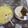 Puja Shaw's cooksnap of when they made চটজলদি খিচুড়ি(চchatjoldi khichdi recipe in Bengali).