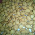 Cooksnap dari nevara untuk resep Biji Ketapang