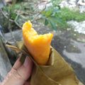 Cooksnap dari SaBa's Kitchen untuk resep Nagasari Labu Kuning (Pais Waluh)