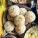 Karan Tripathi (Food Fanatic) का कुकस्नैप जब उन्होंने रवा कोकोनट लड्डू(rava coconut ladoo recipe in Hindi) बनाया था।
