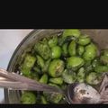 کوک اسنپ Helena NDR بعد از امتحان کردن الوچه یا هلی کتی😋😋😋.