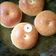 Cooksnap dari jessie nathania untuk resep Donat andalan