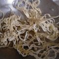 Khyati Joshi Trivedi's cooksnap of when they made ચોખા ની મમરી (chokha ni mamri recipe in Gujarati).