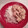 El cooksnap de Alicia Carrillo cuando hizo Pollo al curry con champiñones.