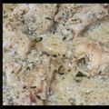 Deepika Arora's cooksnap of when they made चिकन काली मिर्च (chicken kali mirch recipe in Hindi).