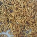 Cooksnap dari Echa Azriel Prasetyo untuk resep Kacang Umpet Pedas Manis
