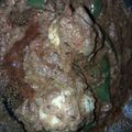 G1's cooksnap of when they made Jake's south indian egg curry (from the land of spices).