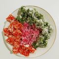 Cooksnap dari Cynthia Kamajaya untuk resep Ongol ongol singkong Rainbow