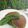 Cooksnap dari Dapur neetasyl untuk resep Pandan Dorayaki