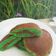 Cooksnap dari Dapur neetasyl untuk resep Pandan Dorayaki