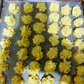 Cooksnap dari Elfrida untuk resep Sagu keju 1 kg