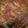 El cooksnap de Maria Elvia Balderas Suarez cuando hizo Cochinita Pibil a mi Manera😜.