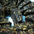 Cooksnap dari Puji Rachmawati untuk resep Brownies Panggang Lembut