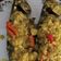 Cooksnap dari Ulfa Fadel untuk resep 14 ☆ Ikan kembung Pesmol Bumbu Kuning ☆