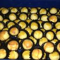 Cooksnap dari Esterlina Dinesty untuk resep Nastar lumer Teflon (ANTI GAGAL)